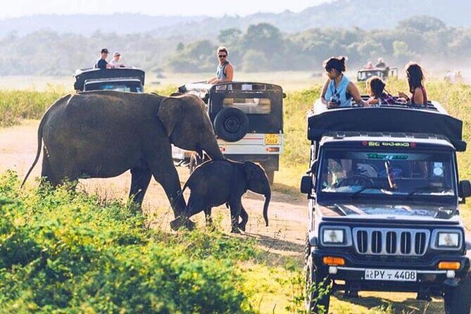 6 Days Tour of Sri Lanka - Tea and Nature in Nuwara Eliya