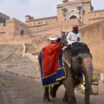 7-Day Golden Triangle Jodhpur Udaipur Tour from Delhi - What We Love About This Tour