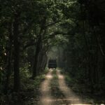 7-Day Royal Bengal Tiger & One-horned Rhino in Bardiya - Exploring Bardiya National Park: What You Can Expect