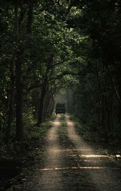 7-Day Royal Bengal Tiger & One-horned Rhino in Bardiya - Exploring Bardiya National Park: What You Can Expect