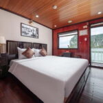 7-Day Vietnam Tour: Ha Long, Ninh Binh, and Ha Giang Loop - The Value and What It Means for You