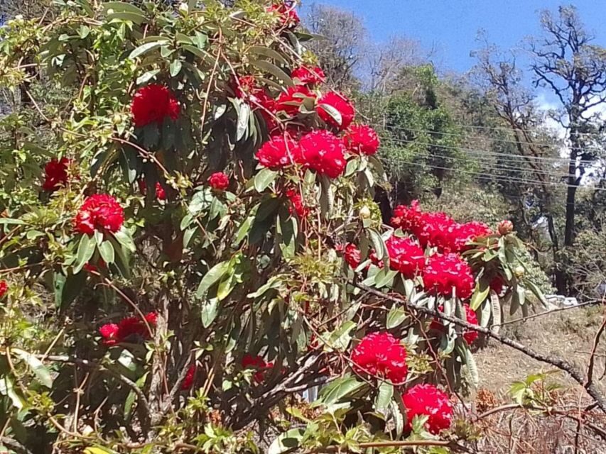 8-Day Kathmandu Annapurna Circuit Trek via Thorongla Pass - The Itinerary in Detail