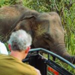 8 Day Private Sri Lanka Tour with Chauffeur - Detailed Breakdown of the Itinerary