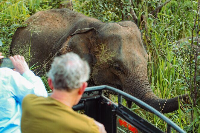 8 Day Private Sri Lanka Tour with Chauffeur - Detailed Breakdown of the Itinerary