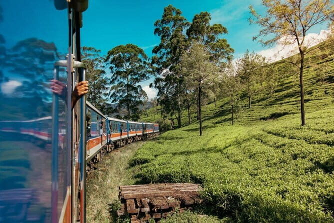 9 Days Guided Tour Through Sri Lanka - Arrival and First Impressions in Negombo