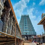 A Private Day tour from Chennai to Gingee & Thiruvannamalai - An In-Depth Look at the Tour Experience