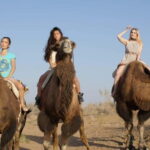 Adventure to Desert Kyzyl Kum and Yurt Camp - Who Should Consider This Tour?