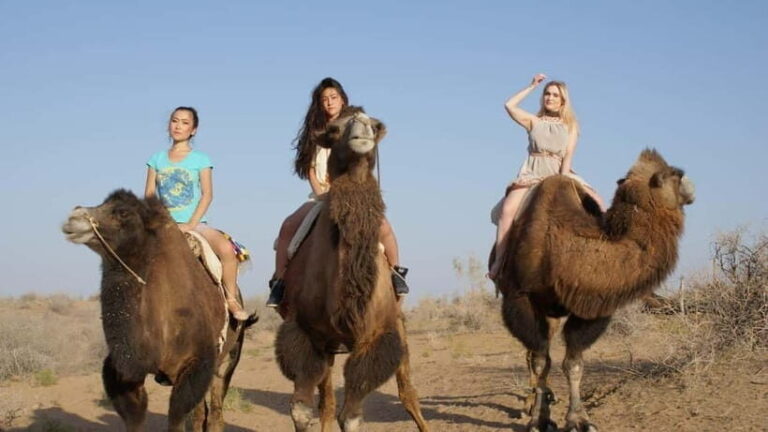 Adventure to Desert Kyzyl Kum and Yurt Camp - Who Should Consider This Tour?