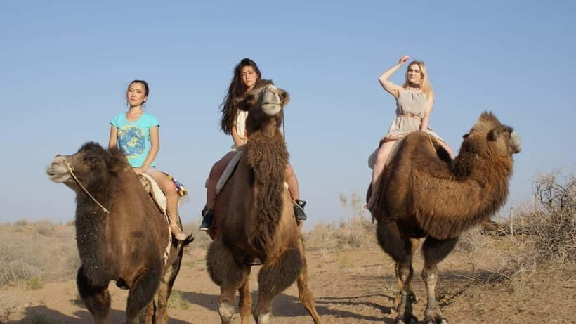 Adventure to Desert Kyzyl Kum and Yurt Camp - Who Should Consider This Tour?