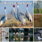 Agra Drop via Bharatpur & Fatehpur Sikri from Delhi - Fatehpur Sikri: Mughal Grandeur in Ruins