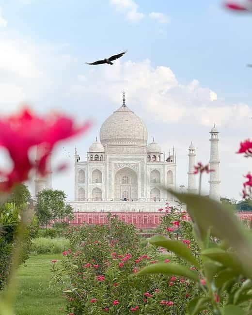 Agra: Skip-The-Line Taj Mahal & Agra Highlights Tour - The Experience of the Taj Mahal: Quick Overview
