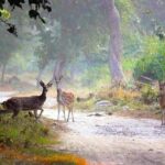 Agra, Taj, Fatehpur Sikri & Ranthambore Safari - 3 Days - The Itinerary Breakdown: What to Expect Day by Day