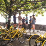 ALL DAY 6 HOURS TOUR: - An In-Depth Look at the Tour Experience