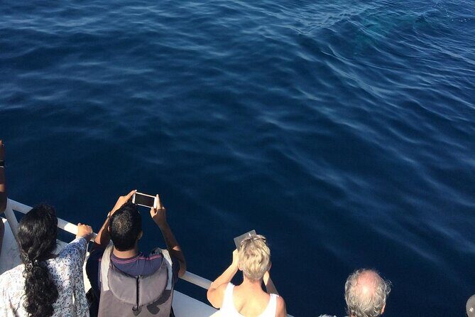 All Inclusive Mirissa Morning Whale Watching Boat Tour with Geeth - The Experience and Itinerary Breakdown