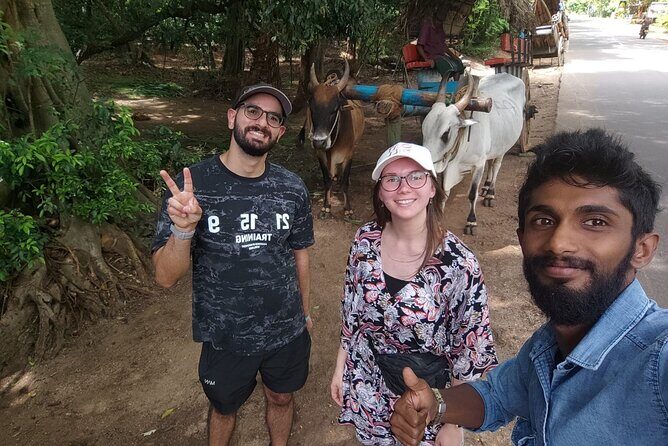 All-inclusive - Sigiriya and Dambulla day tour from Colombo - What Sets This Tour Apart