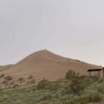 Almaty: Altyn-Emel National Park Day Trip with Guide - Introduction: Why Consider This Tour?