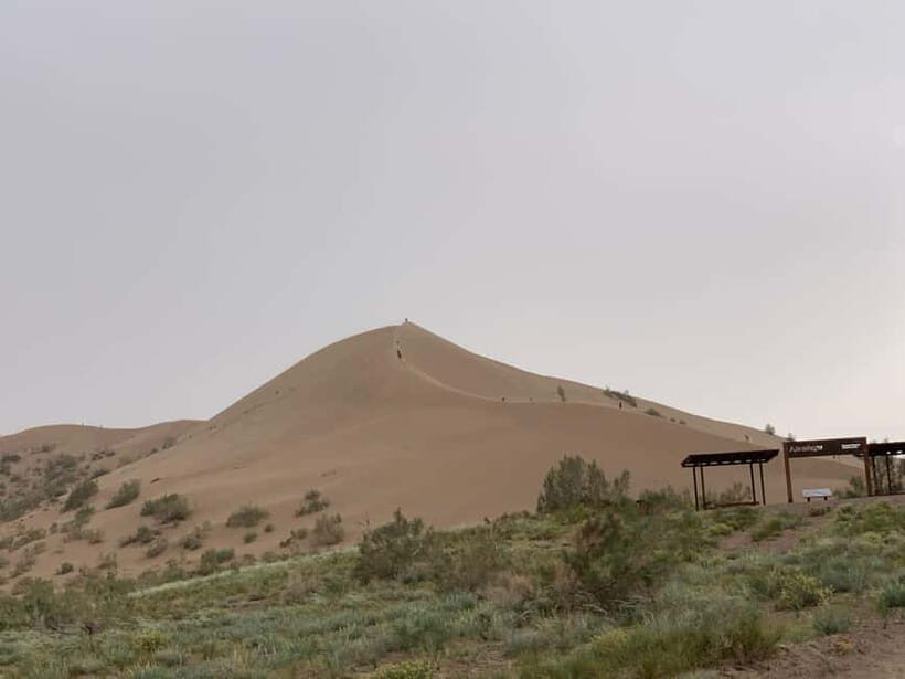 Almaty: Altyn-Emel National Park Day Trip with Guide - Introduction: Why Consider This Tour?