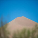 Almaty: Altyn Emel National Park Two-Day Trip - The Itinerary Breakdown: What to Expect Each Day