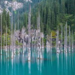 Almaty: Charyn Canyon, Kolsai & Kaindy Lakes Tour - Transportation & Logistics