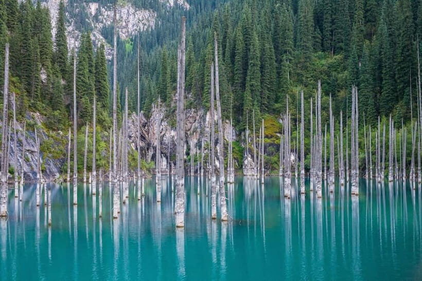 Almaty: Charyn Canyon, Kolsai & Kaindy Lakes Tour - Transportation & Logistics