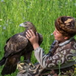 Almaty: Falconry show and Big Almaty Gorge - What’s Included & What to Keep in Mind