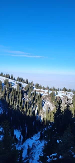 Almaty: Kim Asar Mountains and Waterfall Hiking Tour - Who Is This Tour Best For?