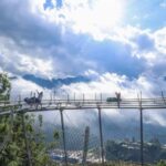 Alpine Coaster Ban Mong Experience in Sapa - Vietnam - The Value of This Experience