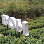 Amazing Cameron Highland Day Tour From Kuala Lumpur - Practical Details and What They Mean for You