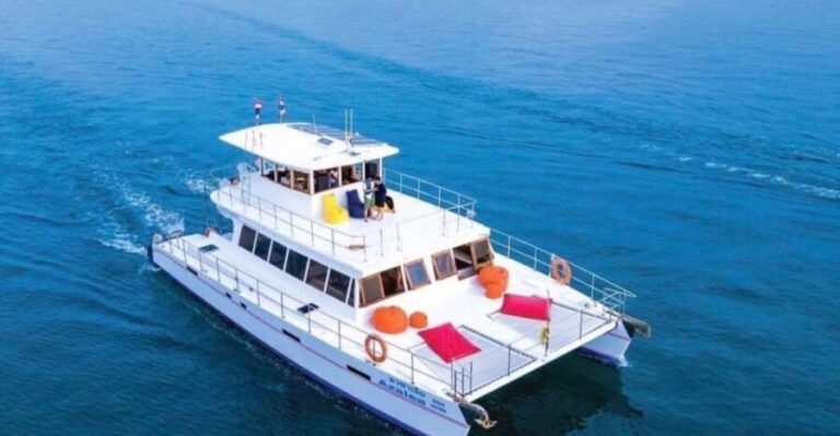 Amazing Coral Island & Sunset Dinner with Power Catamaran - The Vessel and Activities