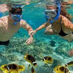 Amazing Snorkeling at Cham Island - What to Expect On This Tour