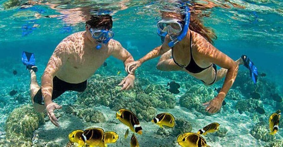 Amazing Snorkeling at Cham Island - What to Expect On This Tour