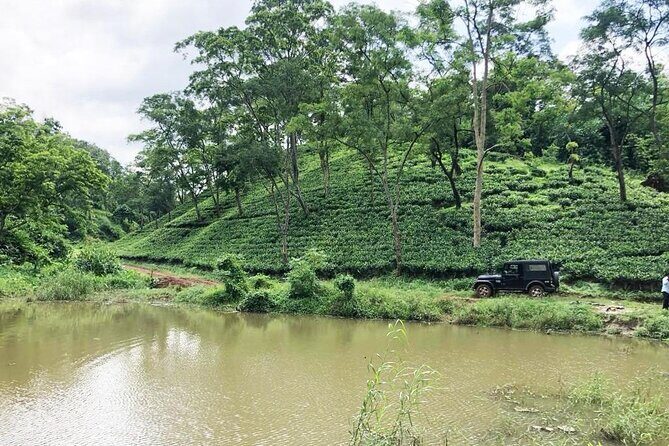 Amchong Tea Estate + Factory Visit (with Hi-tea only) - Practical Tips for Visitors