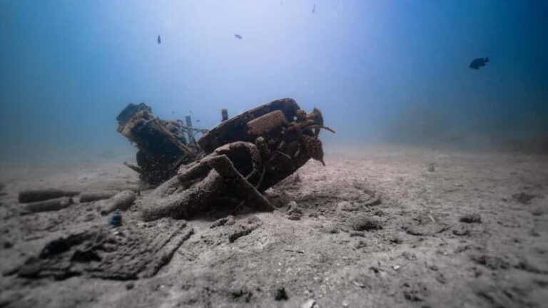 Andaman: Havelock Scuba Diving by PADI 5-Star Dive Center - What to Expect from the Dive Experience