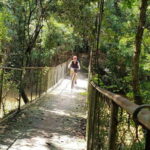 Angkor Jungle Biking Adventure Private Cycling Tour - What’s Included and What’s Not
