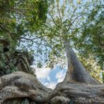 Angkor wat and Small group temples Full day tours - The Itinerary in Detail