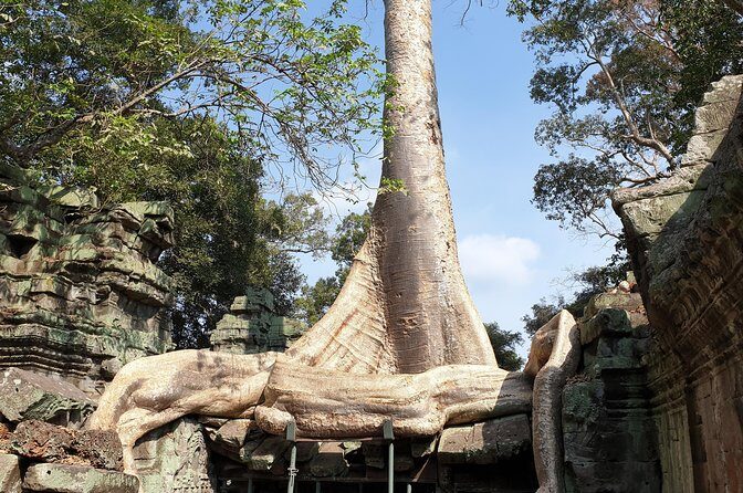 Angkor Wat Full Day Tour in Siem Reap Small-Group - Potential Considerations