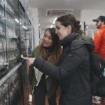 Anime & Manga Lovers Akihabara Tour  Private Tour - What is the Tour All About?