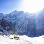 Annapurna Base Camp: 5-Day Guided Trek with Hot Spring - Practical Details and Tips