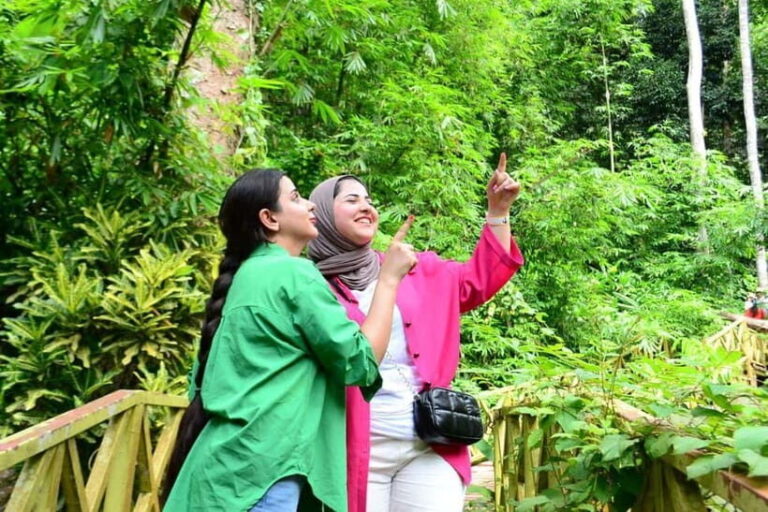 ATV Adventure Package  1 Hour Fun Ride in Langkawi - The Ride Itself: What to Expect