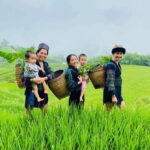 AUTHENIC 2D1N Trek & Bungalow Retreat with Dinh Hmong Family - The Value and Practicalities