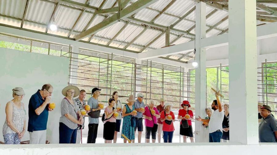 Authentic Cinnamon Tour with Cinnamon Tea Tasting Experience - Practical Details and What to Expect