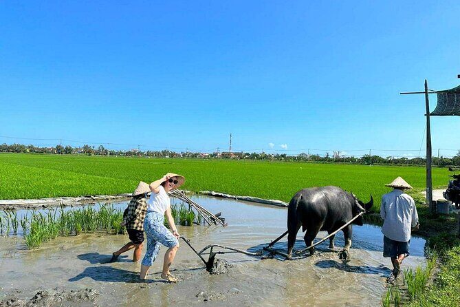 Authentic Hoi An: Explore Countryside with Locals - Important Practicalities