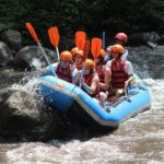 Ayung River Rafting Ticket And Transfer - The Sum Up