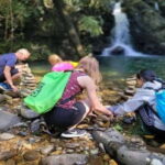 Bach Ma National Park: Day Trek Group Tour From Hue - What’s Included and Whats Not