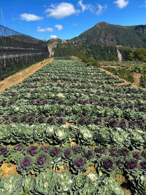 BAGUIO: Culture and Heritage Tour 2D1N - What’s Included & What to Keep in Mind