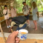 Balapitiya: Madu River Boat Tour - What to Expect on the Madu River Boat Tour