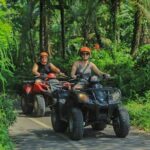 Bali ATV Quad Bike Adventure and Snorkeling Tour - Deep Dive into the Experience