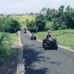 Bali ATV Ride On the Beach, Rice Field and Village Tour 2 Hour - What Reviewers Say: Insights from Actual Travelers