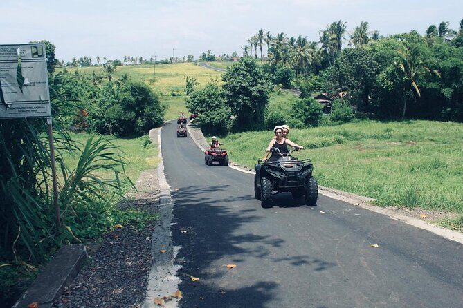 Bali ATV Ride On the Beach, Rice Field and Village Tour 2 Hour - What Reviewers Say: Insights from Actual Travelers