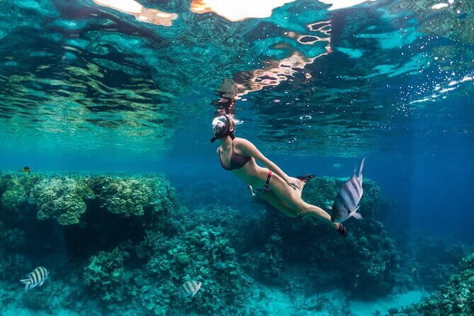 Bali Blue Lagoon Snorkeling Tour All Inclusive - What’s Included and What to Consider